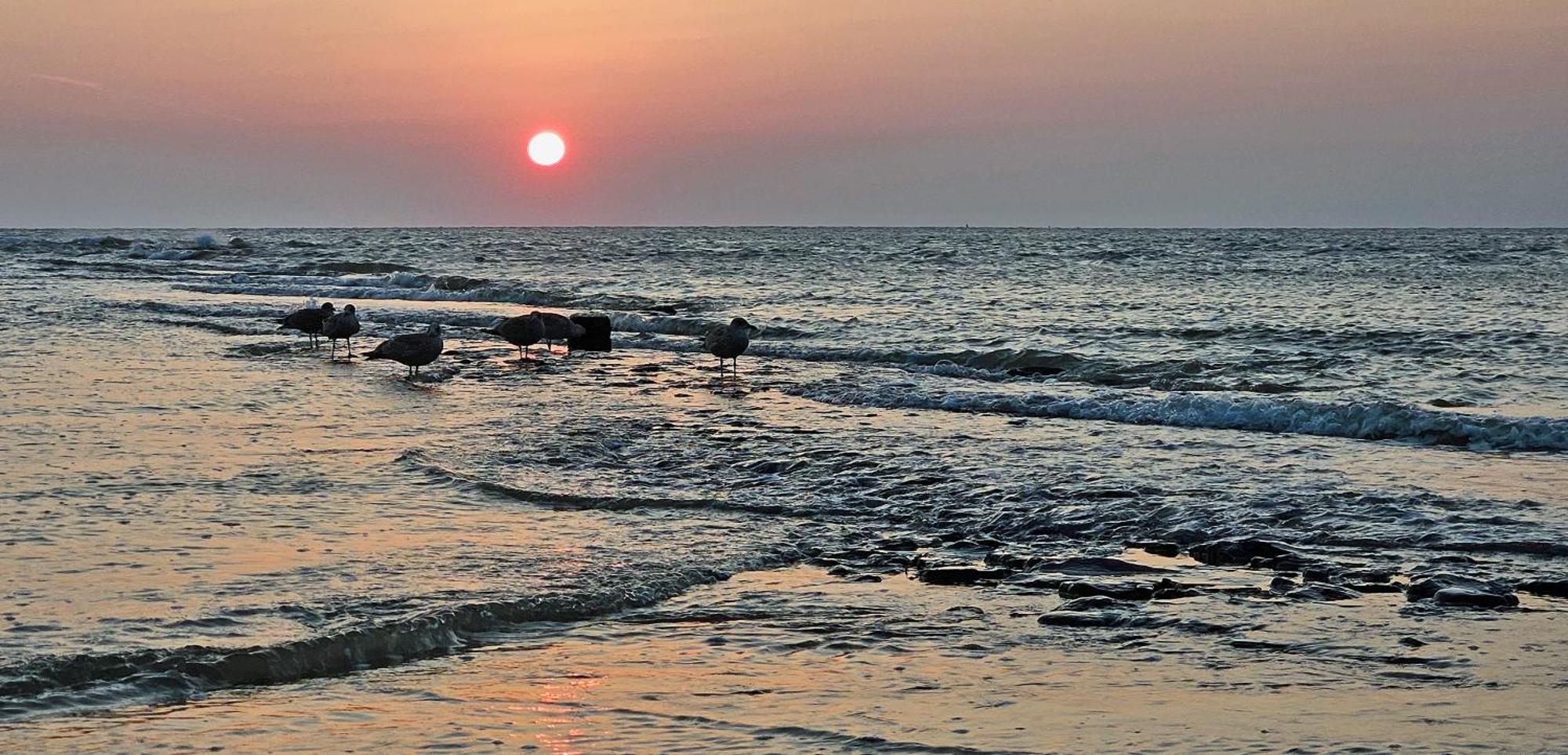 Zanddijk 113, Julianadorp Aan Zee エクステリア 写真